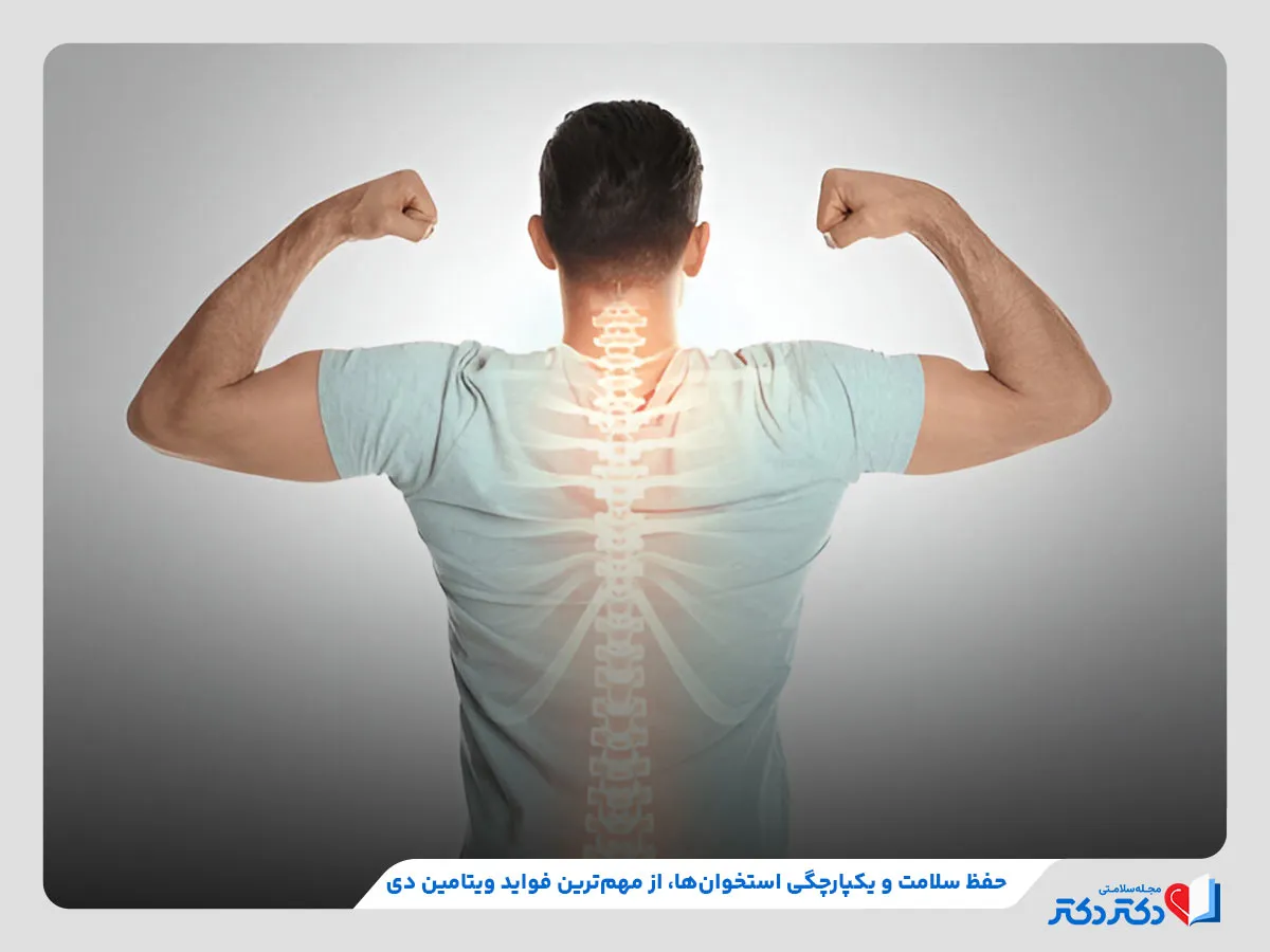 کمک به سلامتی استخوان‌ها، از مهم‌ترین و اصلی‌ترین فواید مصرف ویتامین دی