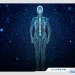 همه آنچه باید در مورد ویتامین دی(D) بدانید+ نکات ضروری مصرف ویتاومین دی