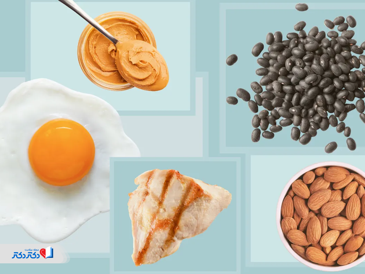 اهمیت مواد غذایی پزوتئین دار در وعده‌های روزانه