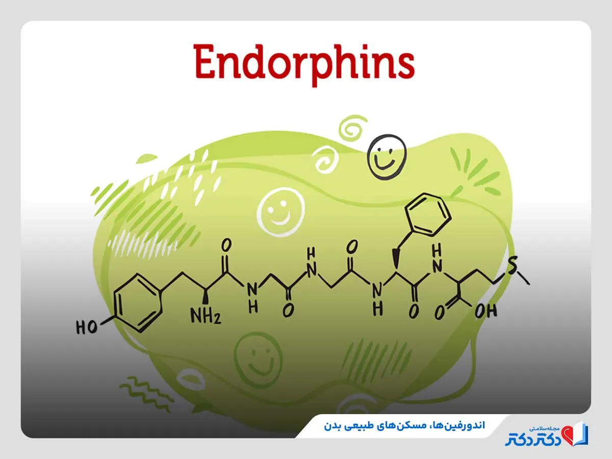 بررسی وظایف اندورفین‌ها در جسم و روان انسان