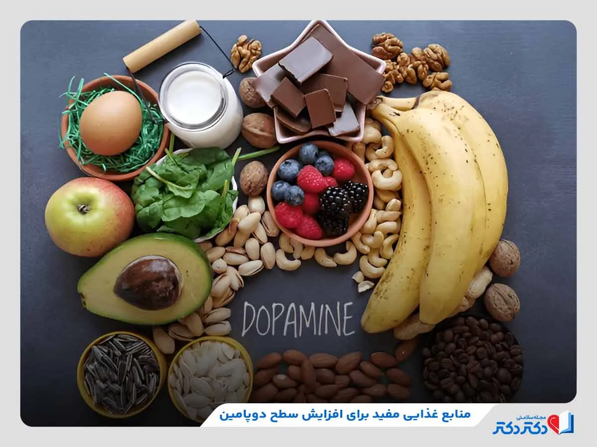 بررسی منابع غذایی مفید برای افزایش سطح دوپامین