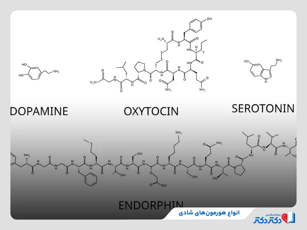 بررسی انواع هورمون‌های شادی 