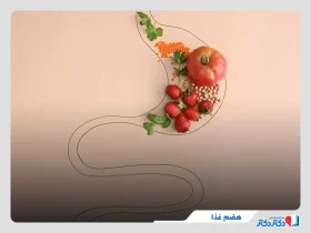 هضم غذا چگونه انجام می‌شود؟ + نکاتی مهم برای بهبود هضم