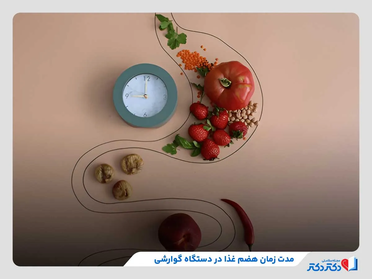 بررسی مدت‌زمان هضم مواد غذایی