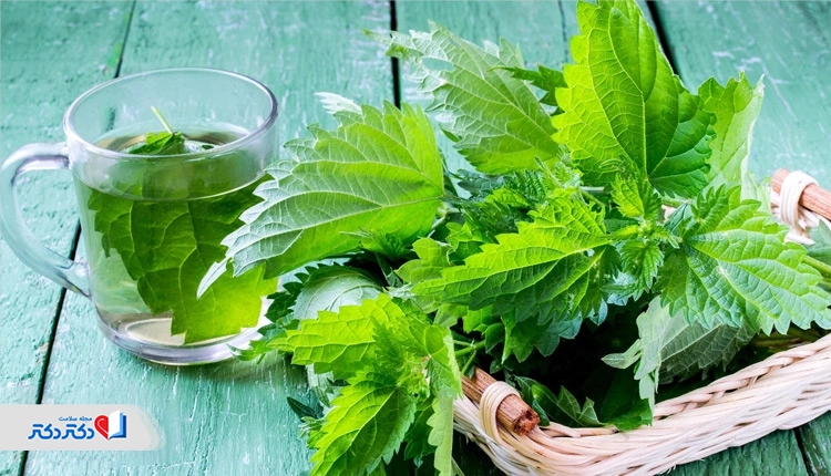 دمنوش گزنه بهترین دمنوش برای یائسگی