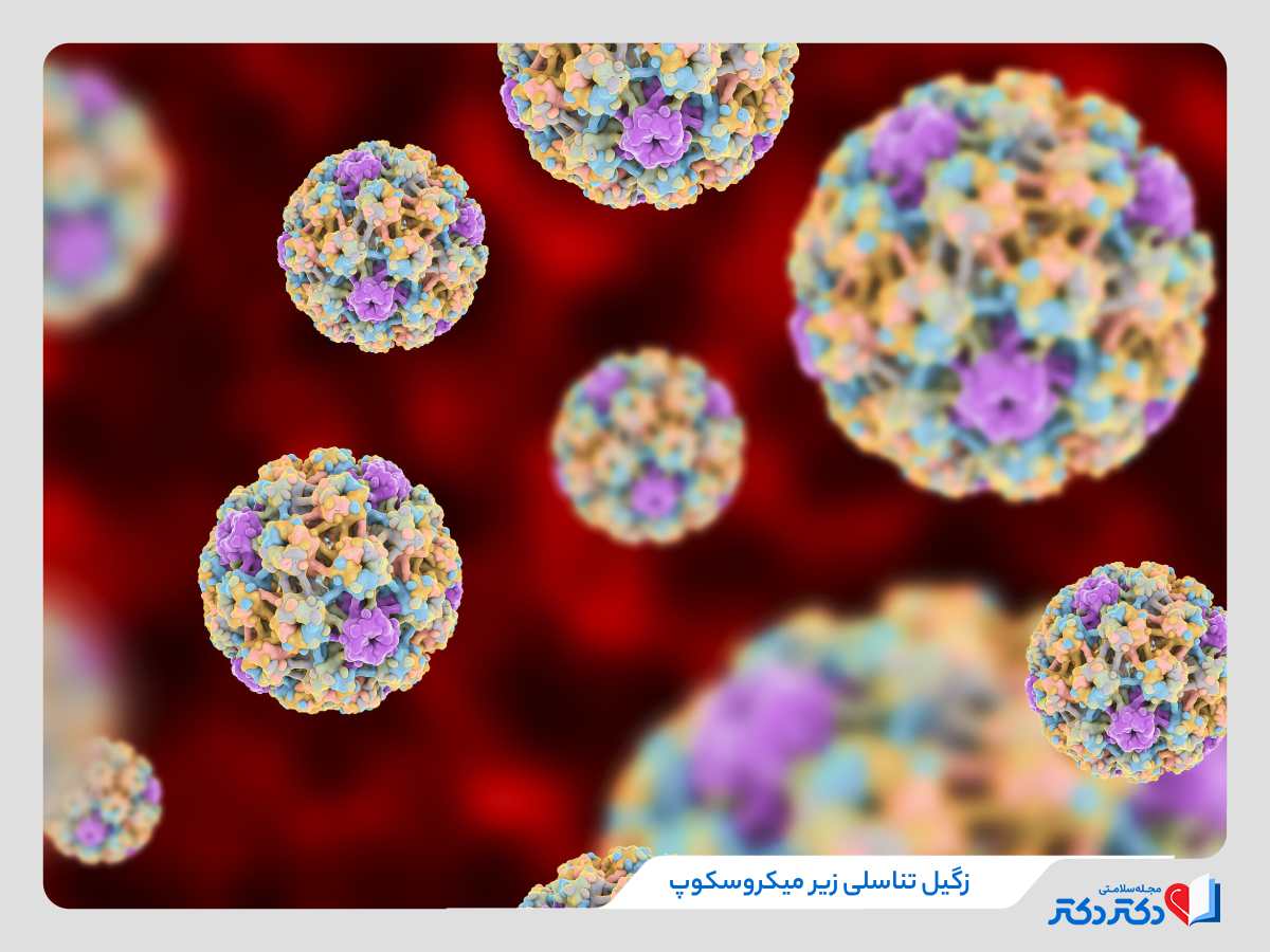 راه های انتقال زگیل تناسلی