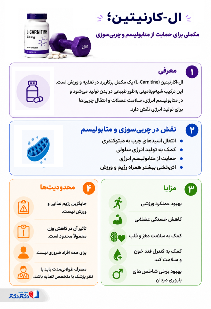 اینفوگرافی قرص ال کارنیتین