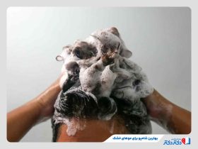 معرفی بهترین شامپو برای موهای خشک + راهنمای خرید