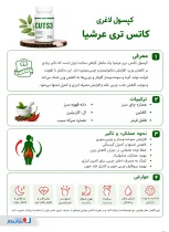 اینفوگرافی کاتس عرشیا