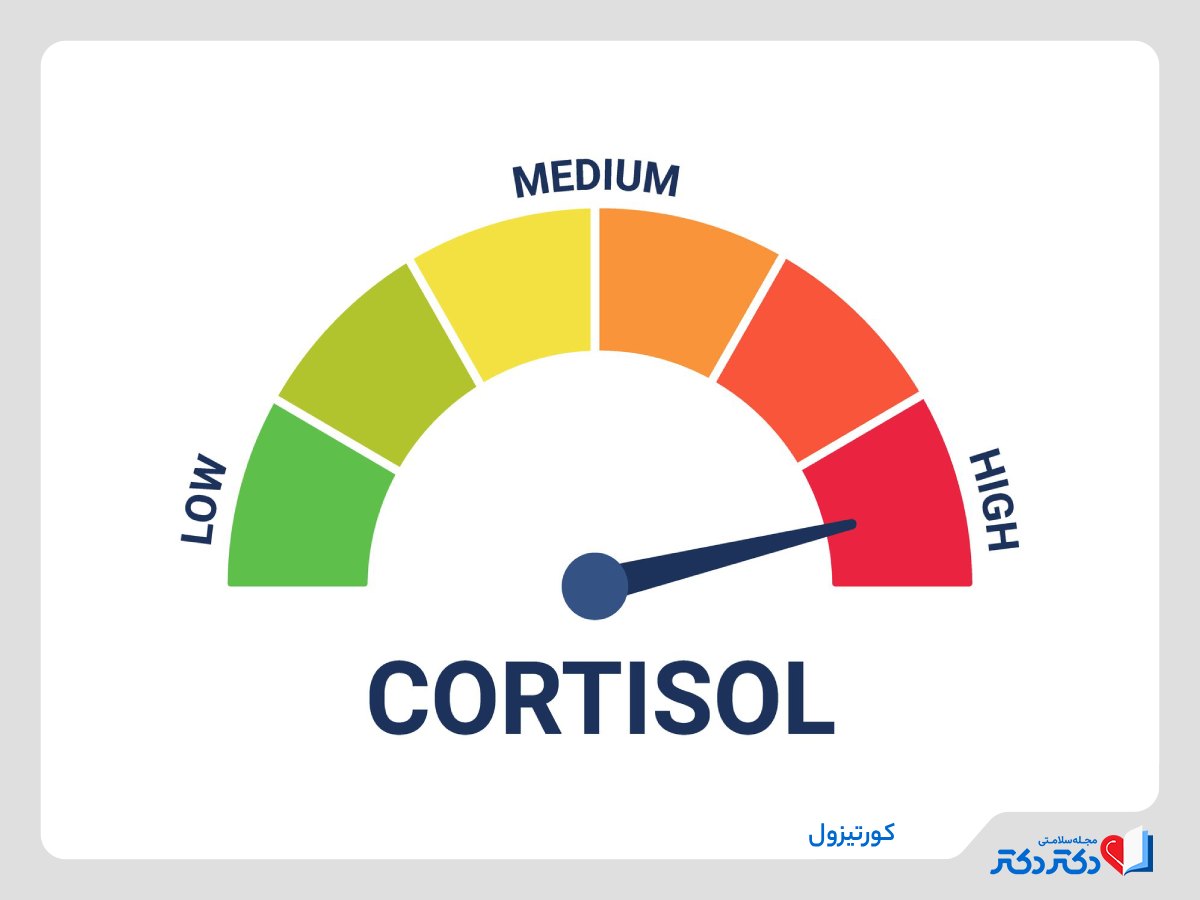 نقش کورتیزول در بدن