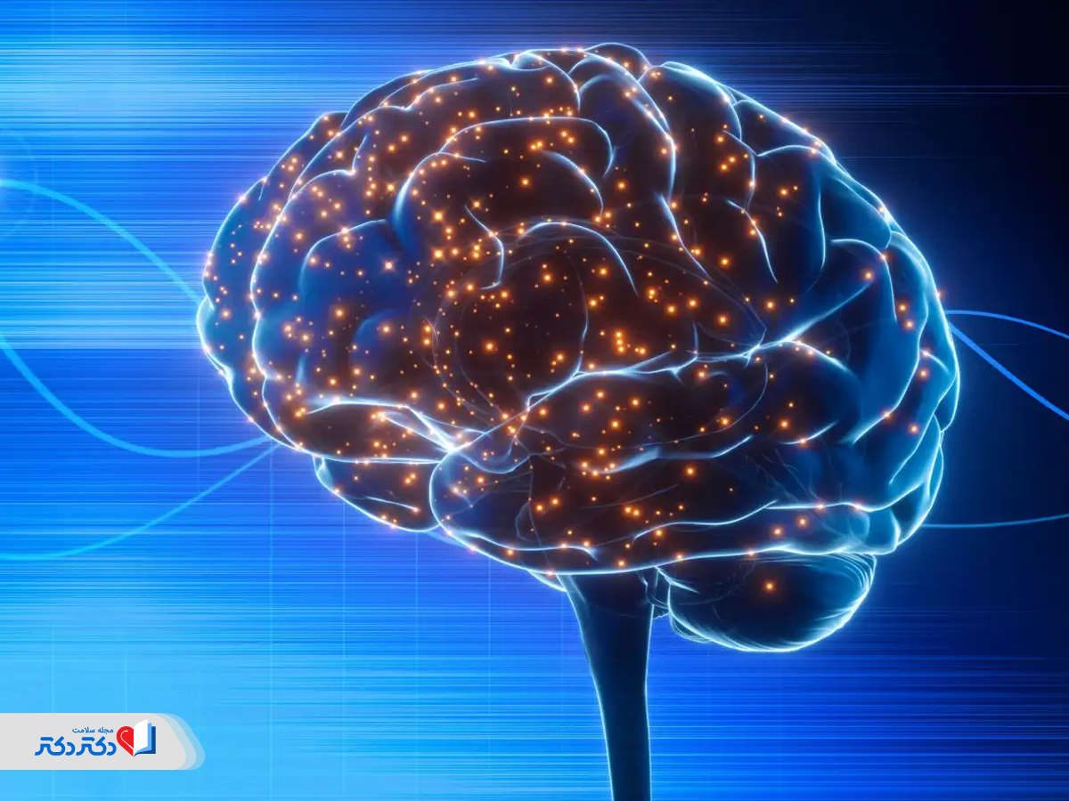 خواص تخم‌مرغ برای سلامت مغز و پیشگیری از سکته مغزی