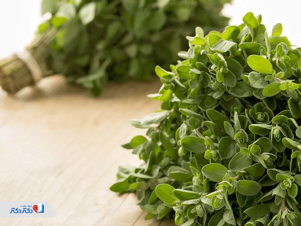 رازیانه از ترکیبات قرص گرین فیت باریج