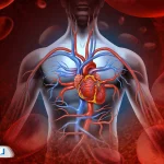 راه‌های طبیعی و سریع برای افزایش گردش خون در بدن