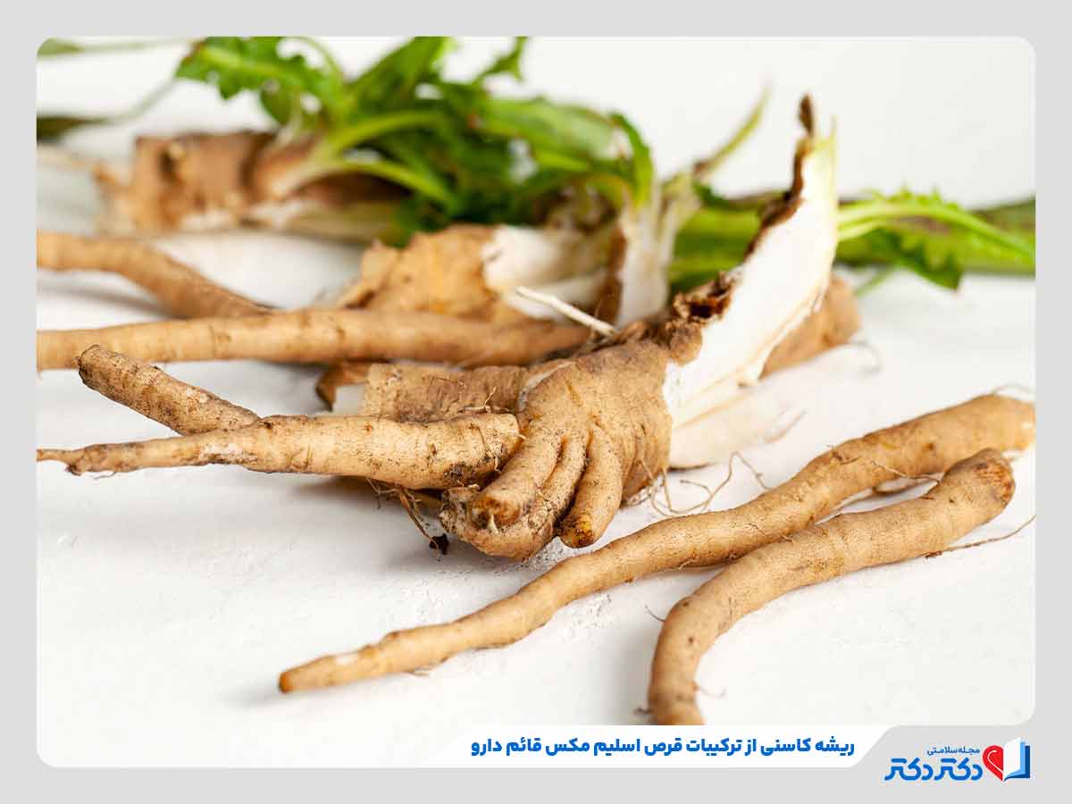 ریشه کاسنی موجود در قرص اسلیم مکس قائم دارو برای لاغری