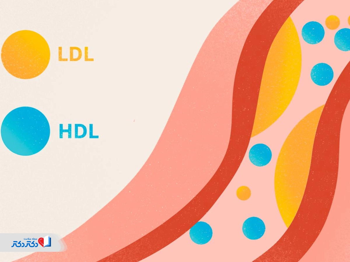 آزمایشHDL-LDL