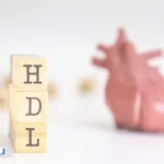 HDL در آزمایش خون (کلسترول خوب) چیست و چه اطلاعاتی درباره سلامت قلب و چربی خون ارائه می‌دهد؟