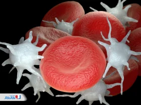 همه چیز درباره PLCC: راهنمای کامل تفسیر PLCC در آزمایش خون