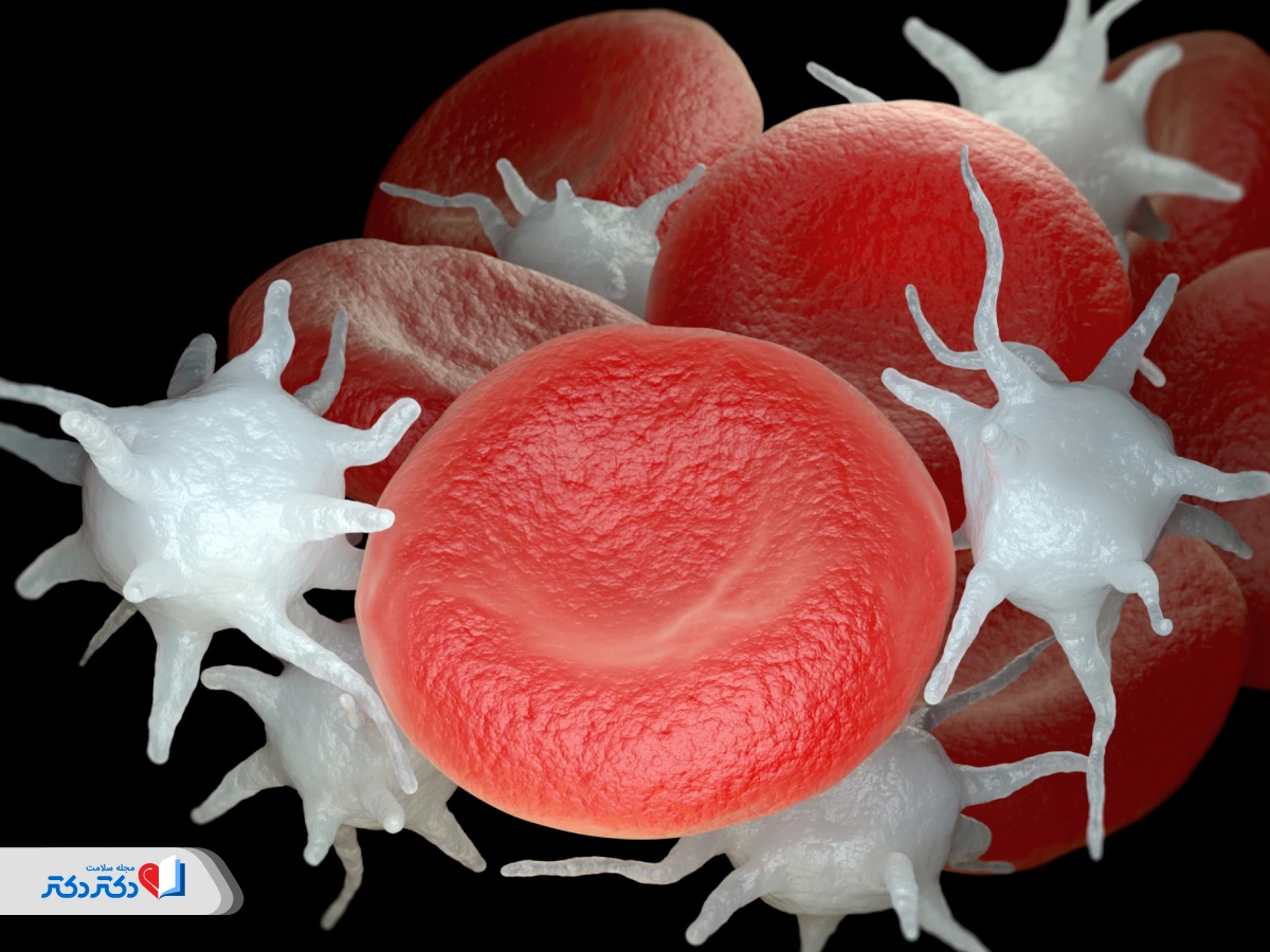 plcc در آزمایش خون-همه چیز درباره PLCC: راهنمای کامل تفسیر PLCC در آزمایش خون