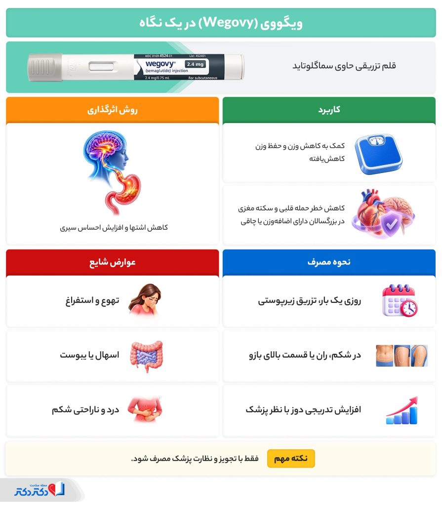 ویگووی در یک نگاه