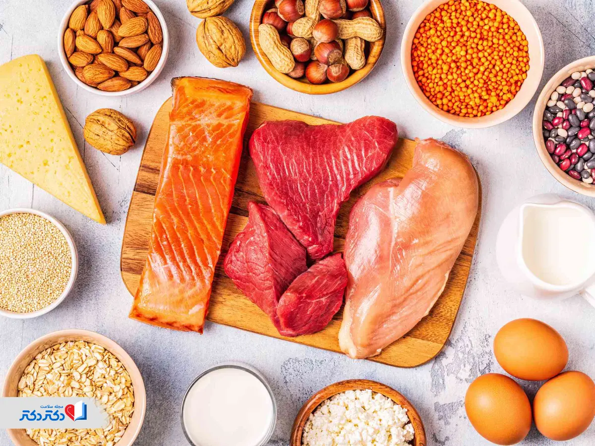 پروتئین و لبنیات برای لاغری سریع 
