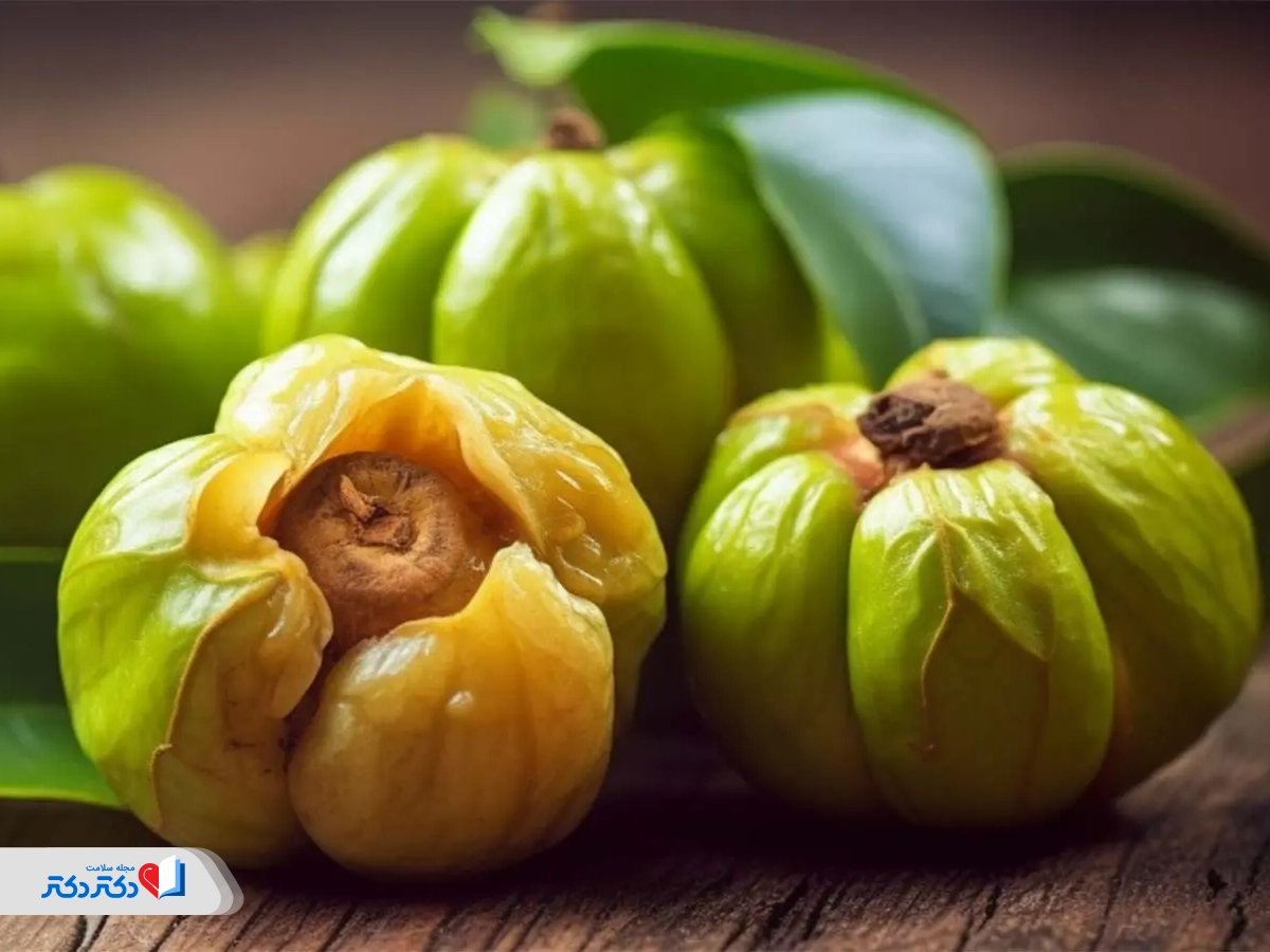 گارسینیا کامبوجیا در پودر لاغری 