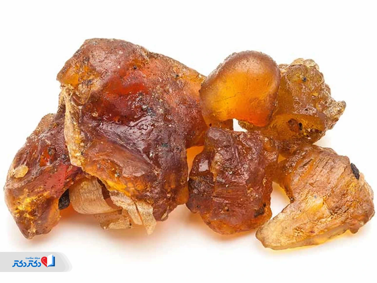 گیاه گاگل در پودر لاغری 