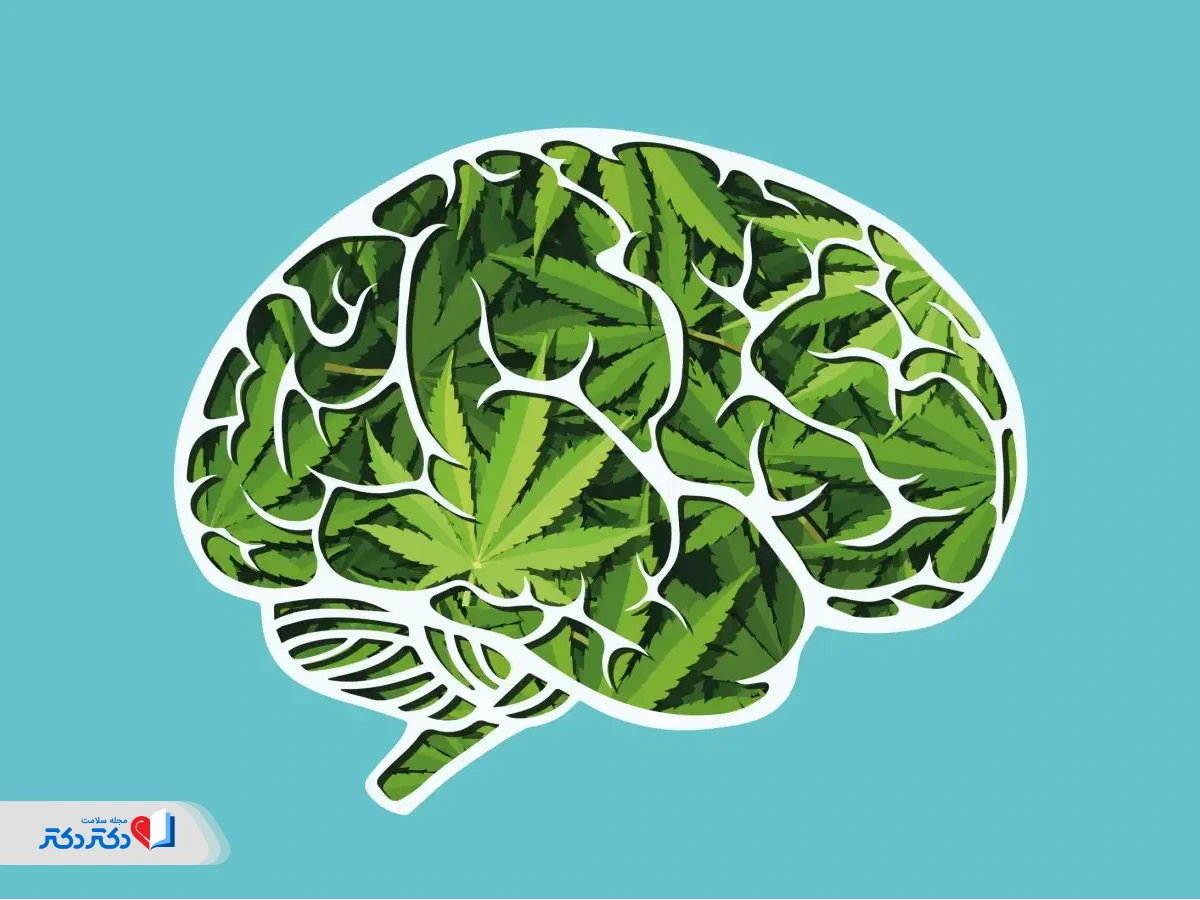 تفاوت cbd و thc در مغز