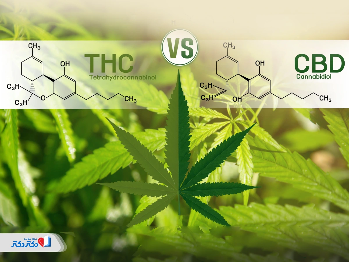 تفاوت CBD و THC چیست