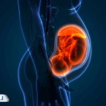 سونوگرافی موقعیت جنین؛ بررسی نحوه قرارگیری نوزاد در رحم