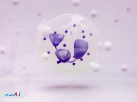 NEUT در آزمایش خون| میزان نرمال و دلایل بالا و پایین بودن NEUT