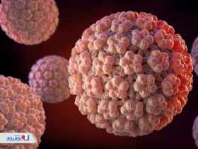 بررسی انواع زگیل تناسلی با تصاویر واضح و واقعی