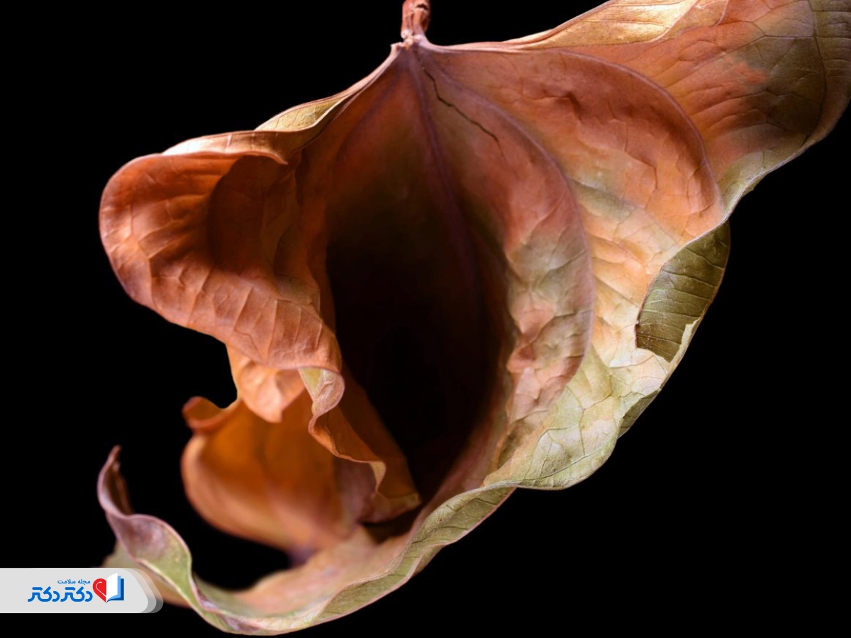 vaginal dryness cream - what is vaginal dryness?