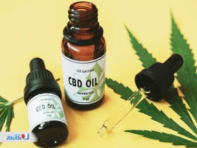CBD چیست؟ هرآنچه باید درباره کانابیدیول، فواید و کاربرد آن بدانید