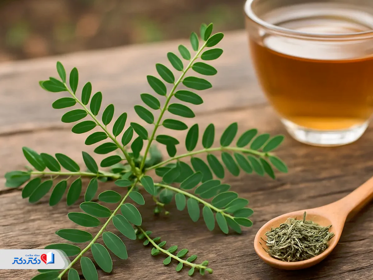 چای چانکا پیدرا؛ سنگشکن گیاهی