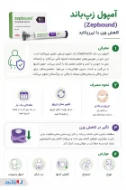 اینفوگرافی زپ باند