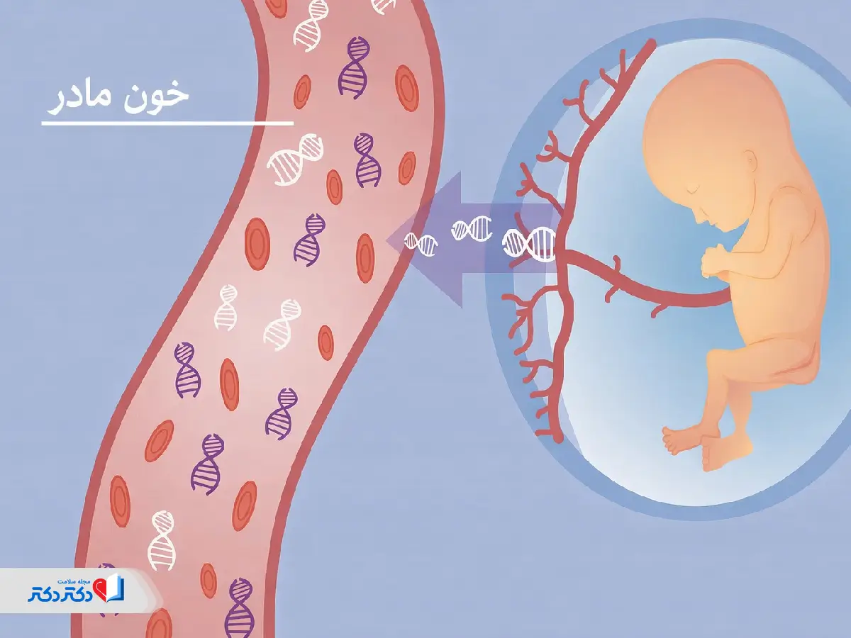انجام آزمایش NIPT با خون زن باردار