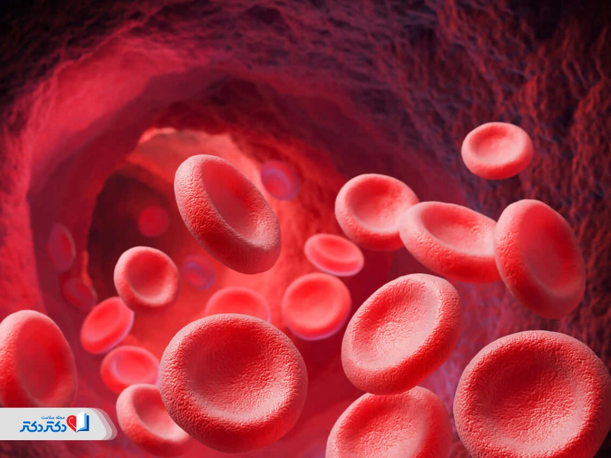 MCHC در آزمایش خون برای تعیین میانگین غلظت هموگلوبین در گلبول‌های قرمز خون