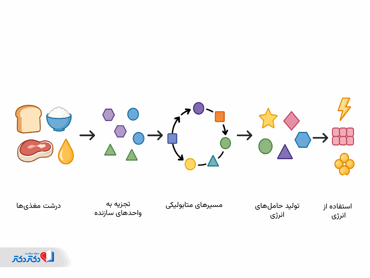 متابولیت‌ها در MRS (Cr، Cho و NAA)