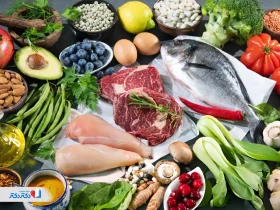 رژیم اتکینز چیست؟ راهنمای کامل مراحل و برنامه غذایی آن