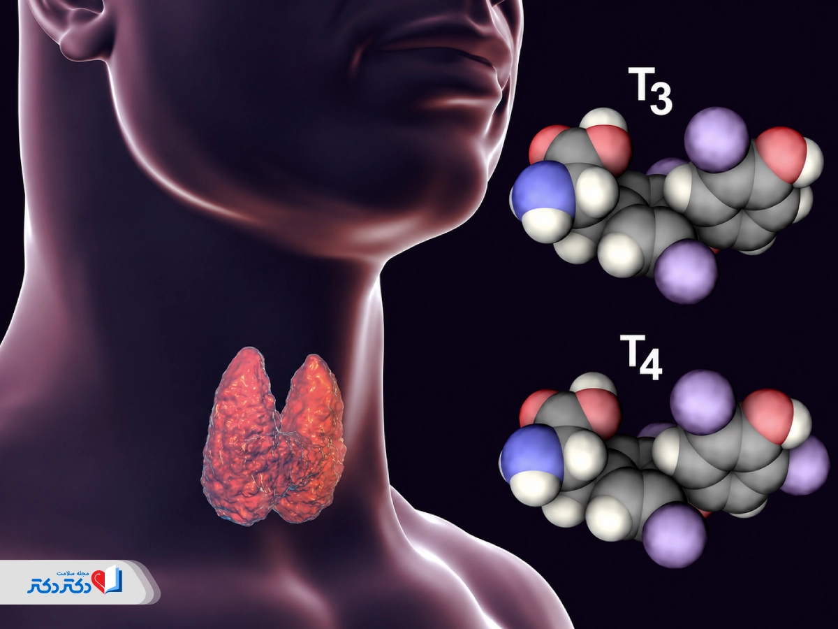 آزمایش T3 چیست؟