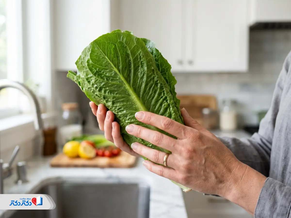 کاهو چگونه باعث لاغری میشود؟