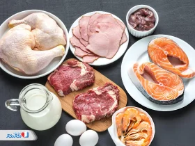 رژیم دوکان چیست؟ مراحل، فواید و عوارض احتمالی آن