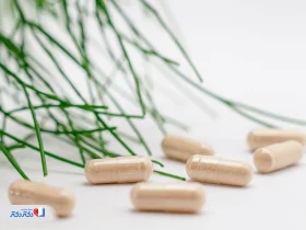 مکمل فیبر؛ راهنمای کامل فواید، مصرف و انتخاب بهترین نوع آن