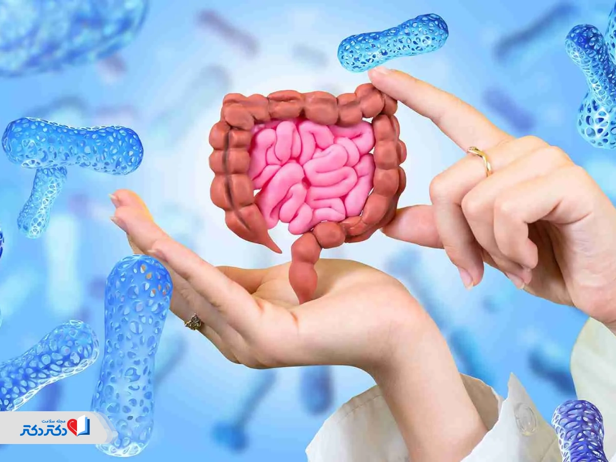 رژیم میوه باعث بهبود سلامت روده میشود؟