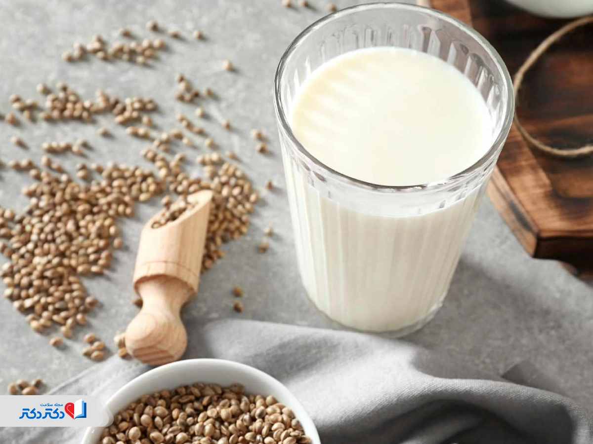 استفاده از شیر شاهدانه یا شیر کنف در رژیم لاغری شیر 