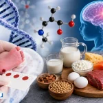 فنیل کتونوری علائم در نوزادان و بزرگسالان؛ علائم، علت و درمان قطعی
