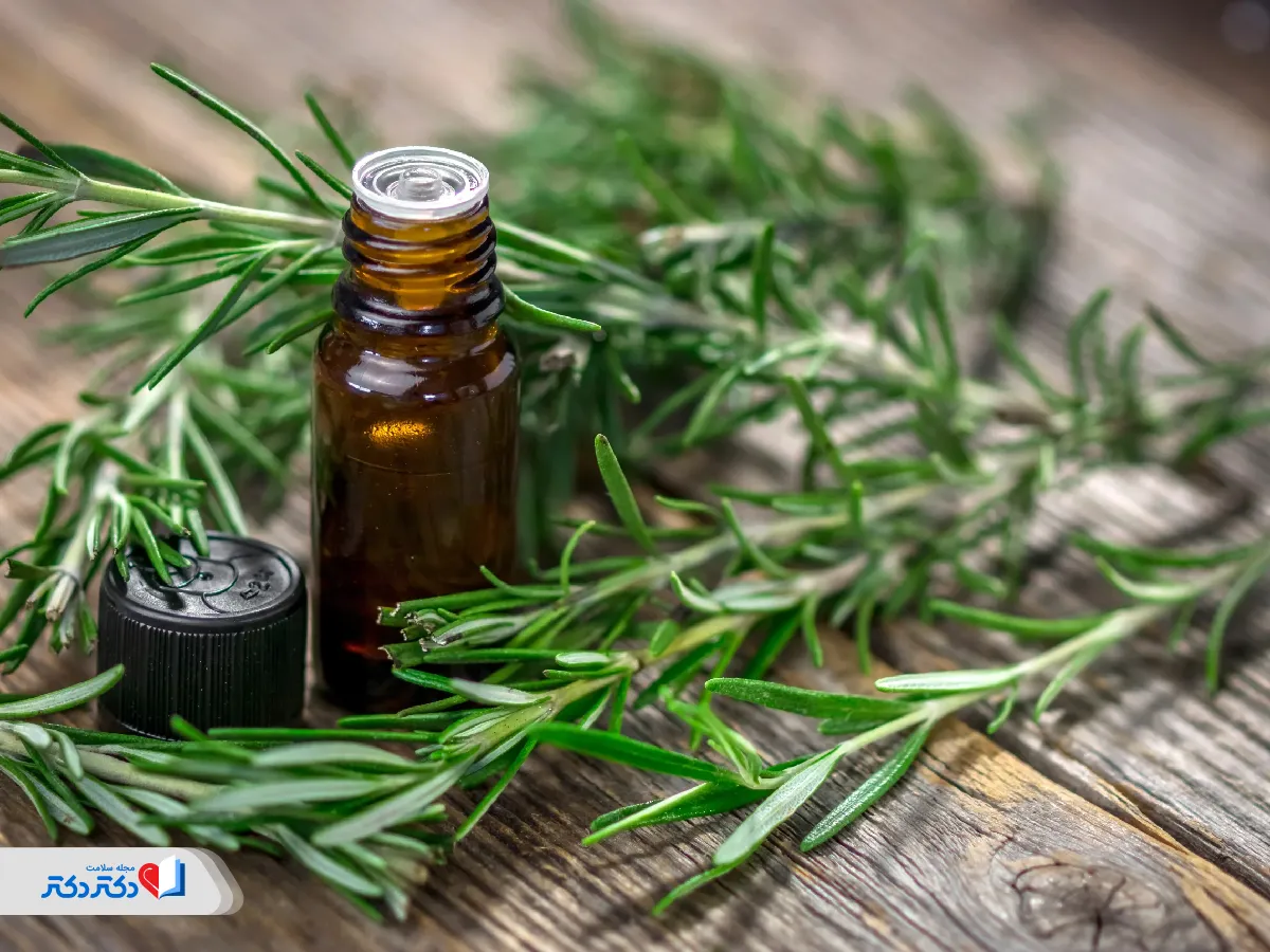 روغن رزماری برای درمان ریزش موی ارثی