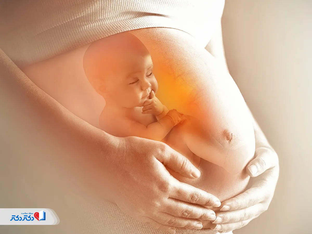 جنین حاصل از فریز تخمک