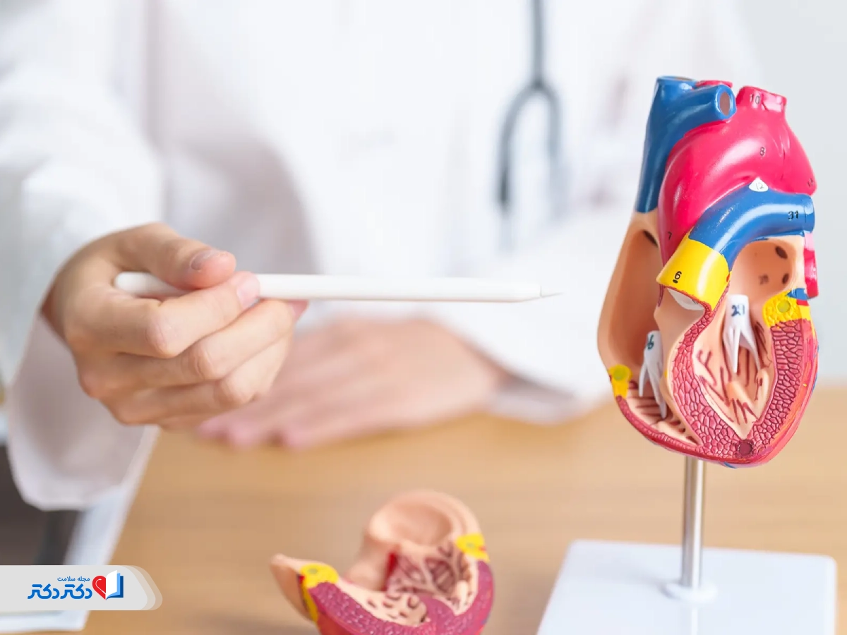 همه چیز درباره آترواسکلروز عروق قلب و خطر سکته قلبی
