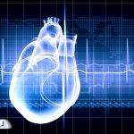 بررسی کامل فلوتر دهلیزی؛ تپش قلب خطرناک یا قابل‌درمان؟